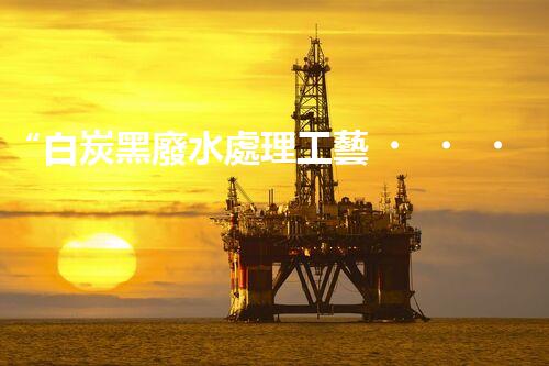“白炭黑廢水處理工藝，綠色環(huán)保新篇章”